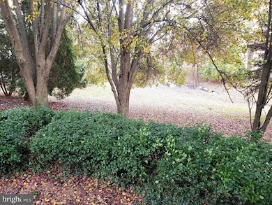 4555 Interlachen Ct unit F, Alexandria, VA 22312 - photo 3