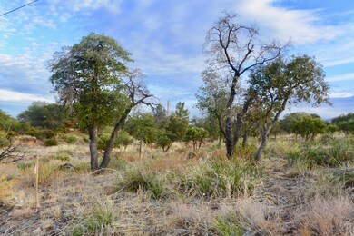 TBD N Viento Dr unit Lot  4, Oracle, AZ 85623 - photo 5