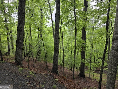 Lt 937 Myna Dr, Ellijay, GA 30540 - photo 2