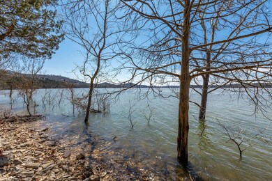 Lot 47 Summer Rd, Ruth B Rural Township, MO 65686 - photo 5