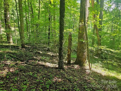 00 Orenda Dr unit 21/SEC C, Franklin, NC 28734 - photo 2