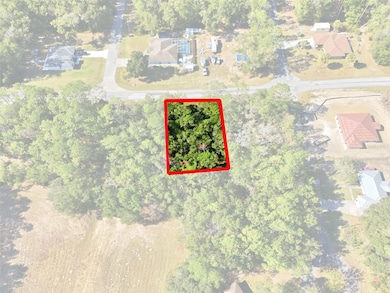 10441 N Biscayne Dr, Citrus Springs, FL 34434 - photo 4