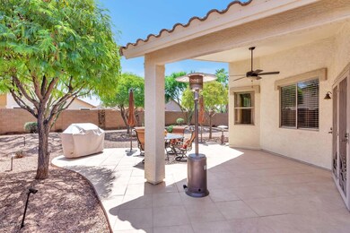 4263 E Torrey Pines Ln-large-025-026-Bac