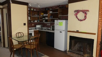 3 Fox Meadow Ln unit 3G, Dover, VT 05356 - photo 7