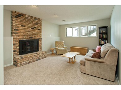 Lower Level Family Room