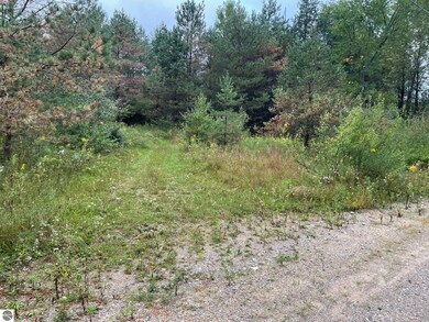 0 W State Rd, West Branch, MI 48661 - photo 5