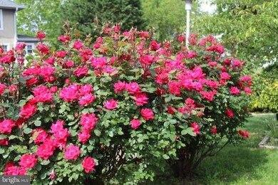 3022 Grindon Ave, Baltimore, MD 21214 - photo 3