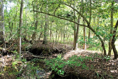 TBD Crooked Creek Rd, Chapin, SC 29036 - photo 4
