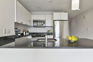 Sierra & Tango Condominiums unit T714, Cambridge, MA 02141 - photo 7