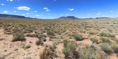 0 Dawn Rd unit 25650219, San Luis, CO 81152 - photo 3