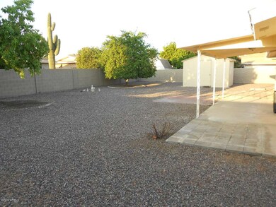 Large private backyard