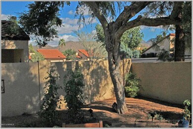 VIEW OF THE MCDOWELLS FROM THE COURTYARD