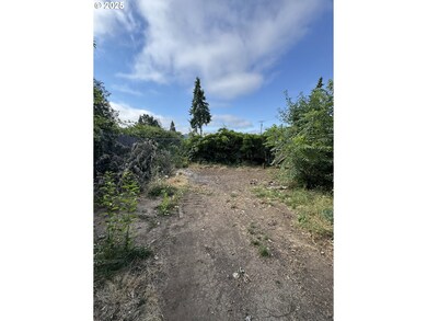 255 36th St, Springfield, OR 97478 - photo 6