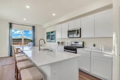 508 Adirondack Ct, Joliet, IL 60436 - photo 3