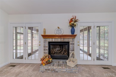 4537 Augusta Shores Ct, Augusta, MO 63332 - photo 7