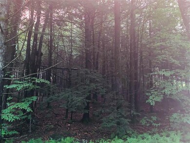 0 Kurn Hattin Rd unit 4872384, Westminster, VT 05158 - photo 4