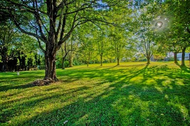 171 East St, South Hadley, MA 01075 - photo 7