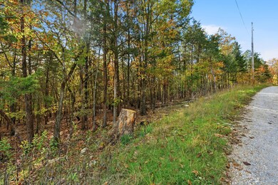 23_335_wallace_dr_sony_013