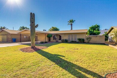 02-Sahuaro