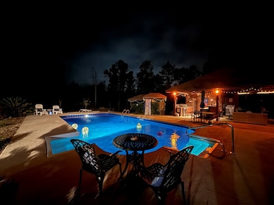 138 Coley Reagin Rd, Hazlehurst, GA 31539 - photo 7