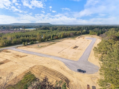 37 Jake Cove, Austin, AR 72007 - photo 7