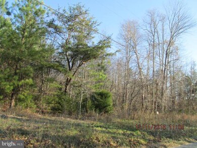 0 Mcduff Rd unit 1003284534, Caroline, VA 22546 - photo 2