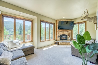 234 Peterson Dr, Fairplay, CO 80440 - photo 2