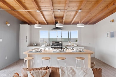 52024 Nehlsen Rd, Johnson Valley, CA 92285 - photo 7