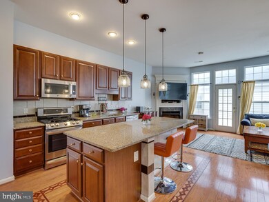 42840 Cedar Hedge St, Chantilly, VA 20152 - photo 7