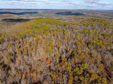 0 River Rd unit 21958353, Hardy, AR 72542 - photo 7