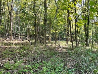 L 16.2 Cleverdale Rd, Glens Falls, NY 12804 - photo 2
