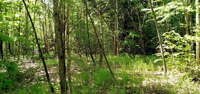 along road frontage 2