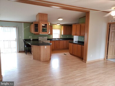 2 New Bridge Rd, Salem, NJ 08079 - photo 3