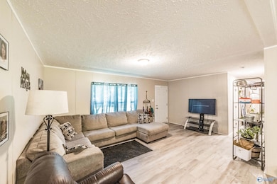 852 Boles Rd, Hazel Green, AL 35750 - photo 5