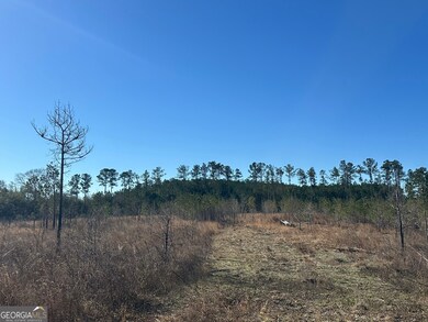 0 Mt Sinai Church Rd unit 10555546, Butler, GA 31006 - photo 4