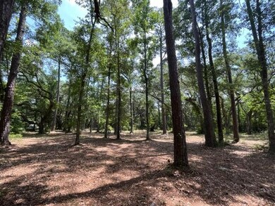 00000 Louisville St, Lacombe, LA 70445 - photo 5