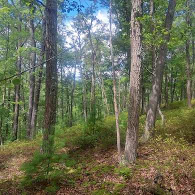 297 Big Bridge Hollow Rd, Little Marsh, PA 16950 - photo 7