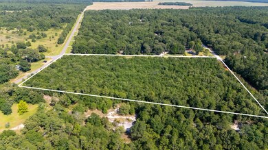 0 Farmers Bridge Rd, Blythe, GA 30805 - photo 6