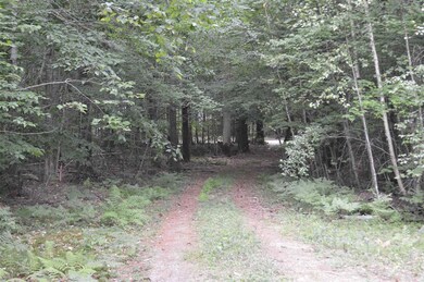Lot 7 Bickford Rd unit 7, Wolfeboro, NH 03894 - photo 3