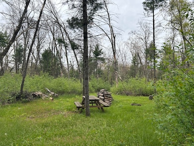 6986 W Baldwin Rd, Baldwin, MI 49304 - photo 3