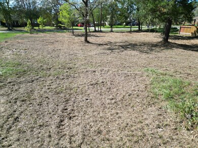 25088 Forest Cir, Hockley, TX 77447 - photo 7