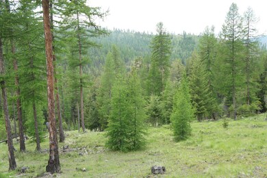 1100 Spring Hill Rd, Kila, MT 59920 - photo 2