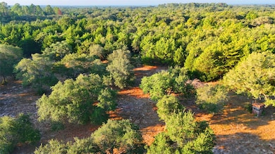 TBD County Road 15, Hallettsville, TX 77964 - photo 6