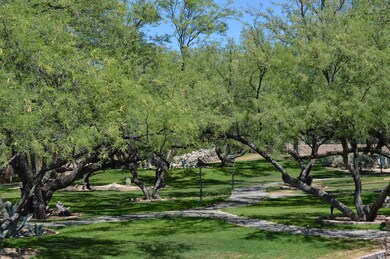 Mesquite Grove