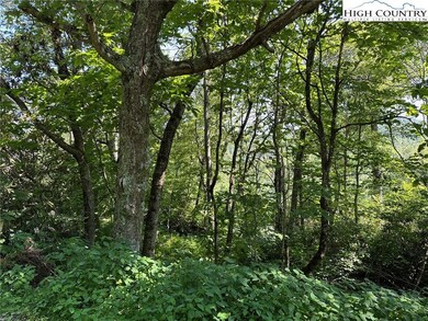 TBD Camden Ln, Blowing Rock, NC 28605 - photo 7