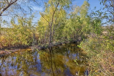 10719 San Jose Ave, Del Valle, TX 78617 - photo 6