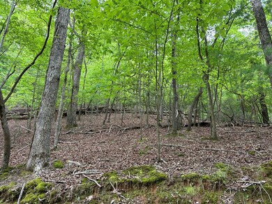 LT595 Jonquil Ln, Ellijay, GA 30540 - photo 4