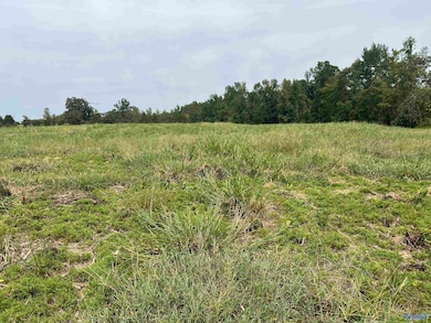 12 Holland Rd, Athens, AL 35614 - photo 5