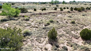 4.02 Dewitt St, Snowflake, AZ 85937 - photo 6