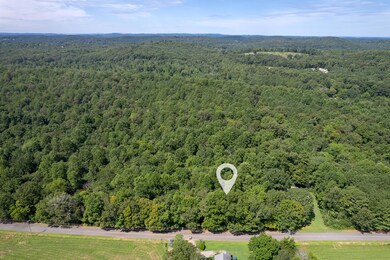 Tract 7 Old Dalton Cleveland Hwy, Cohutta, GA 30710 - photo 4